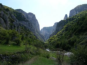 Archivo:Cheile Turzii (Turda Gorges)