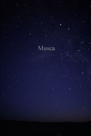 Archivo:Constellation Musca