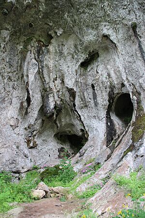 Archivo:Cueva del Conde (03)