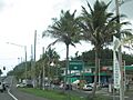 Dominguito, Arecibo, Puerto Rico