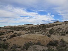 Archivo:Estepa patagónica (Bryn Gwyn)