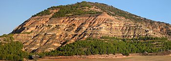 Archivo:Facies fluviales - Mioceno -Caracenilla-Cuenca