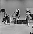 Fanclub1966TonyRonald
