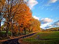 Flickr - Nicholas T - Path