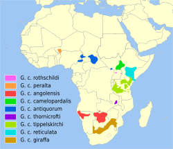 Distribución de la jirafa, dividida por subespecies.