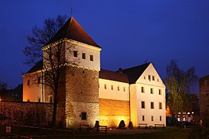 Archivo:Gliwice - Castle by night 01