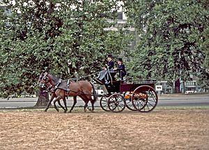 Archivo:Hyde Park Corner Carriage-1983