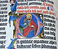 Illuminated.bible.closeup.arp