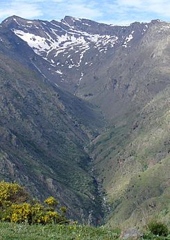 JDCANO VELETA Y GUARNON.jpg