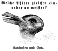 Kaninchen und Ente