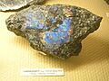 LabradoriteOslo