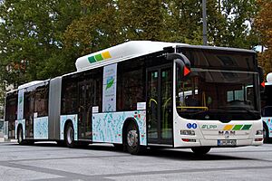 Archivo:MAN Lion's City G CNG in Ljubljana owned by LPP