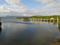 Manglares de la Bahía