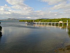 Manglares de la Bahía