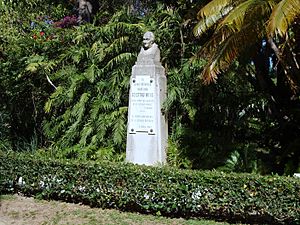 Archivo:Monumento José Celestino Mutis, Parque Genovés, Cádiz