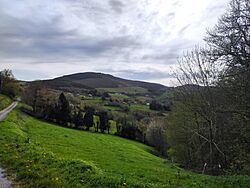 Parroquia de Santa María de Piñeira, A Fonsagrada (Lugo) 08.jpg