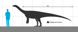 Archivo:Riojasaurus Scale