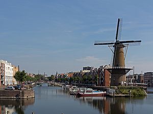 Archivo:Rotterdam-Delfshaven, windkorenmolen de Distilleerketel RM32880 foto3 2015-08-02 10.44