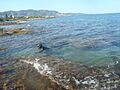 Snorkel, deporte acuático