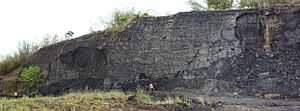 Archivo:Stalmeyer Quarry Tar Sands