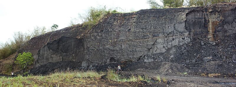 Stalmeyer Quarry Tar Sands