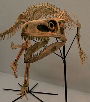 Archivo:Staurikosaurus