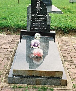 Archivo:StevenBantuBiko'sGrave