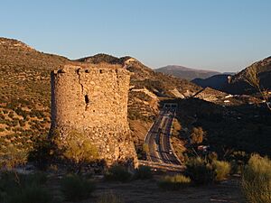 Archivo:Torre Cabeza
