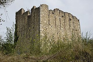 Torre de Suchet (Girona).jpg