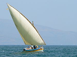 Archivo:Vela latina