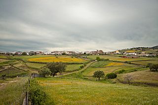 Vista de Alía.jpg
