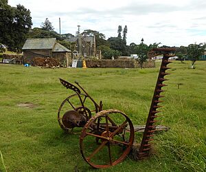 Archivo:(1)Peter Rabbit movie set 006