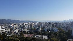 高知城 天守からの景色3 Kochi Castle - panoramio.jpg