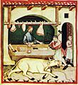 12-alimenti,carni bovine,Taccuino Sanitatis, Casanatense 418