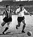 Araguez vs labruna 1945