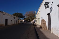 Area San Carlos