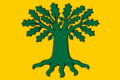Bandeira de Carballo.svg