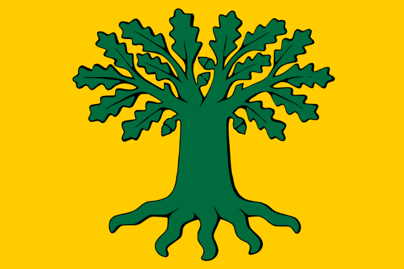 Bandeira de Carballo