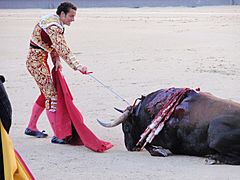 Bullfighting in Madrid (4141538056)