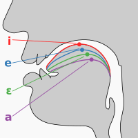 Archivo:Cardinal vowel tongue position-front
