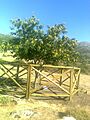 Castañodulcechacon