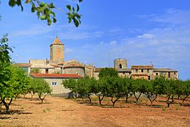 Castell de l'Ametlla de Segarra (Montoliu de Segarra) - 5.jpg