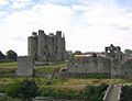 Castillo de Trim (Irlanda) 01