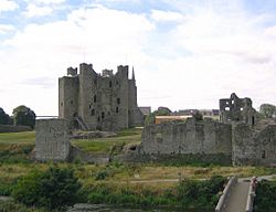 Archivo:Castillo de Trim (Irlanda) 01