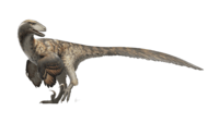 Archivo:Deinonychus Restoration