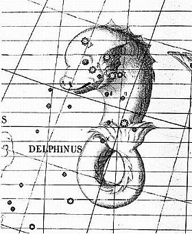 Archivo:Delphinus
