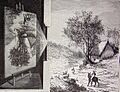 El mundo físico, 1882 "Imágenes producidas en la cámara oscura". (4052586154)