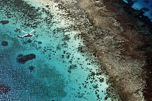 Archivo:Flying over the waters of Micronesia DVIDS112363