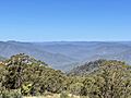 Gibraltar Range National Park seen from Raspberry Lookout, 2021, 07