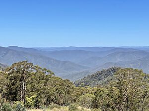 Archivo:Gibraltar Range National Park seen from Raspberry Lookout, 2021, 07
